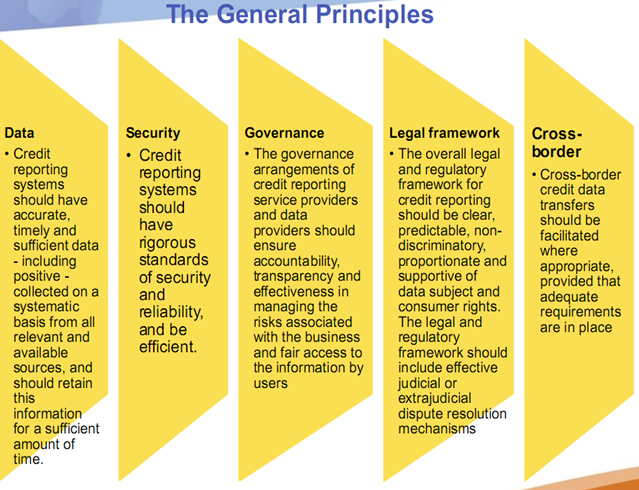 5 GENERAL PRINCIPLES FOR CREDIT REPORTING